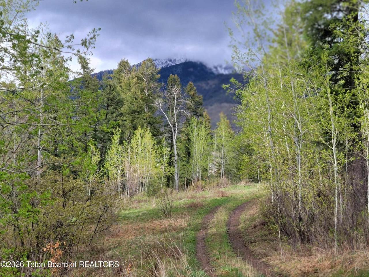 https://bt-photos.global.ssl.fastly.net/teton/1280_boomver_1_26-654-2.jpg
