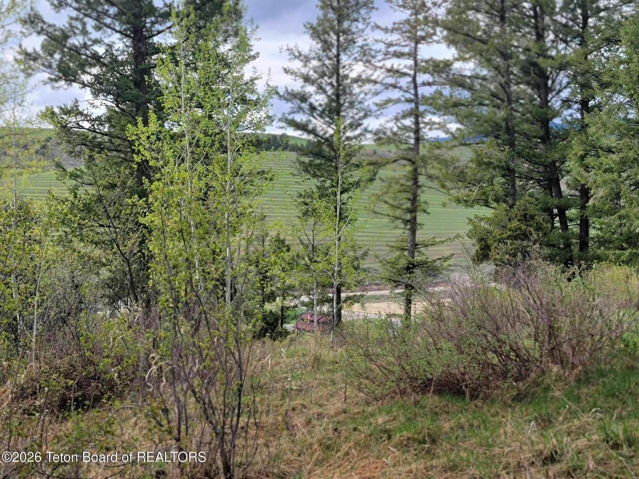 https://bt-photos.global.ssl.fastly.net/teton/1280_boomver_1_26-654-2.jpg