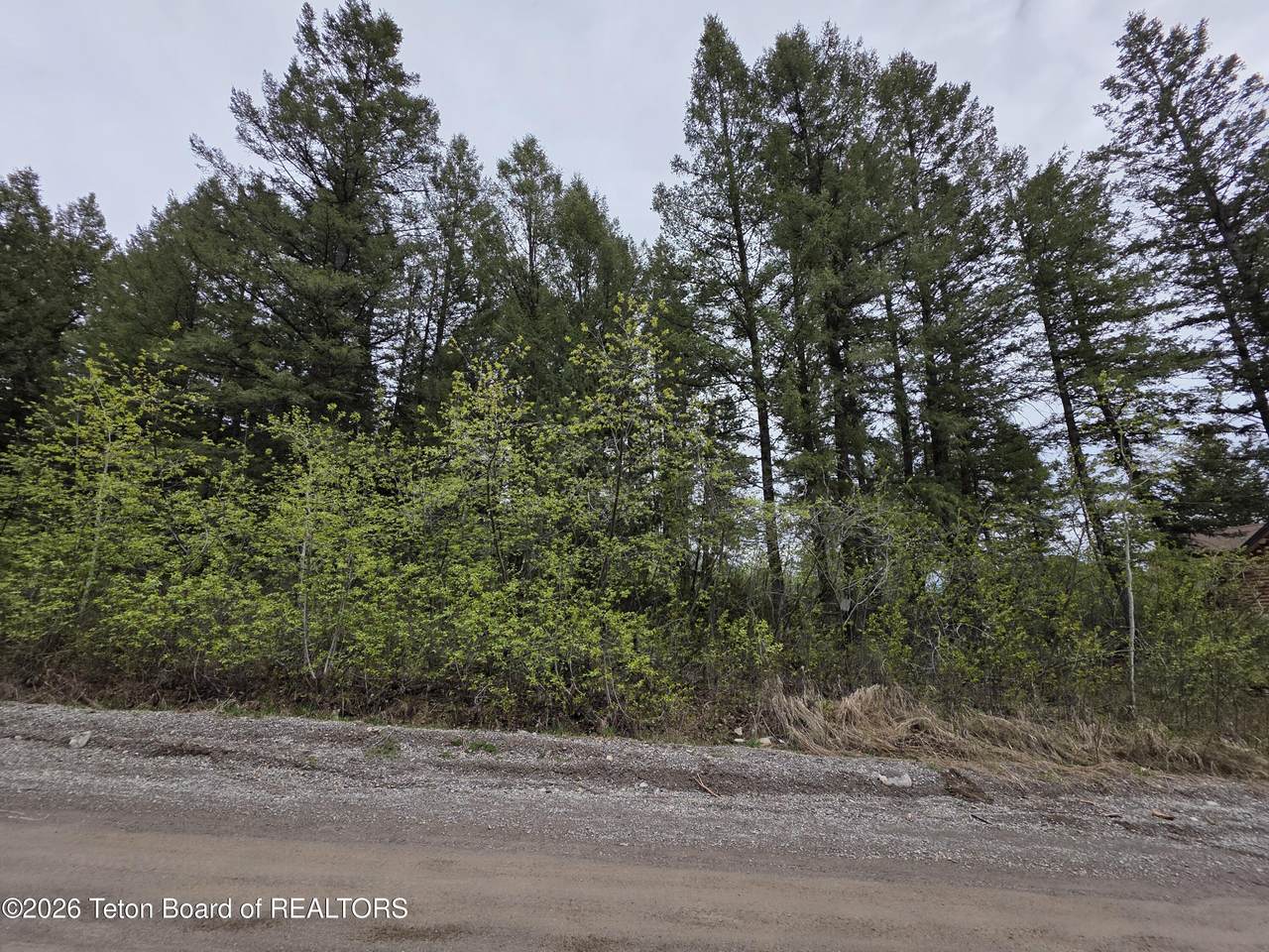 LOT 85 Vista West Drive - Photo 1