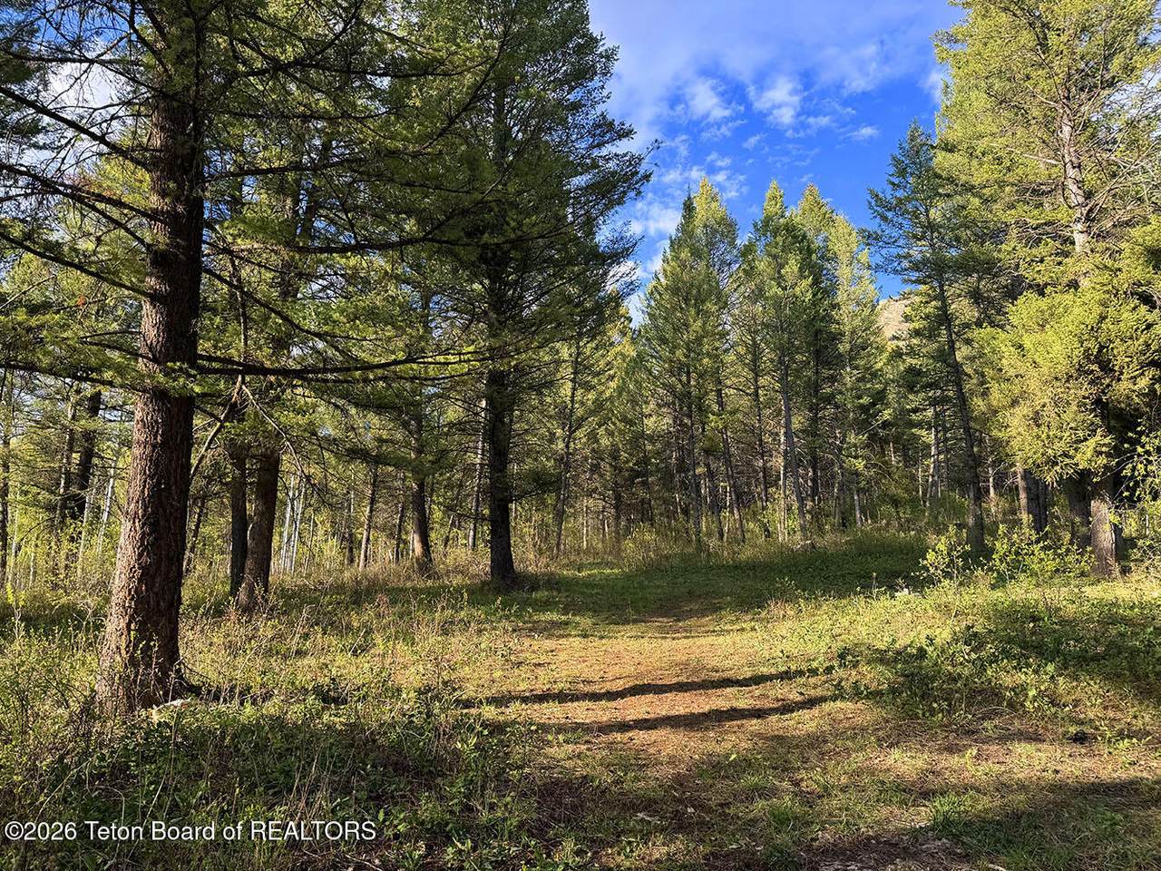 LOT 83 Oak Drive - Photo 1