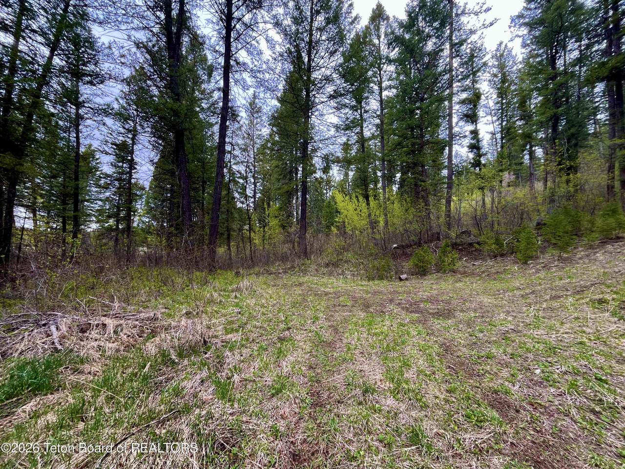 .88 ACRES Lone Star Road - Photo 1