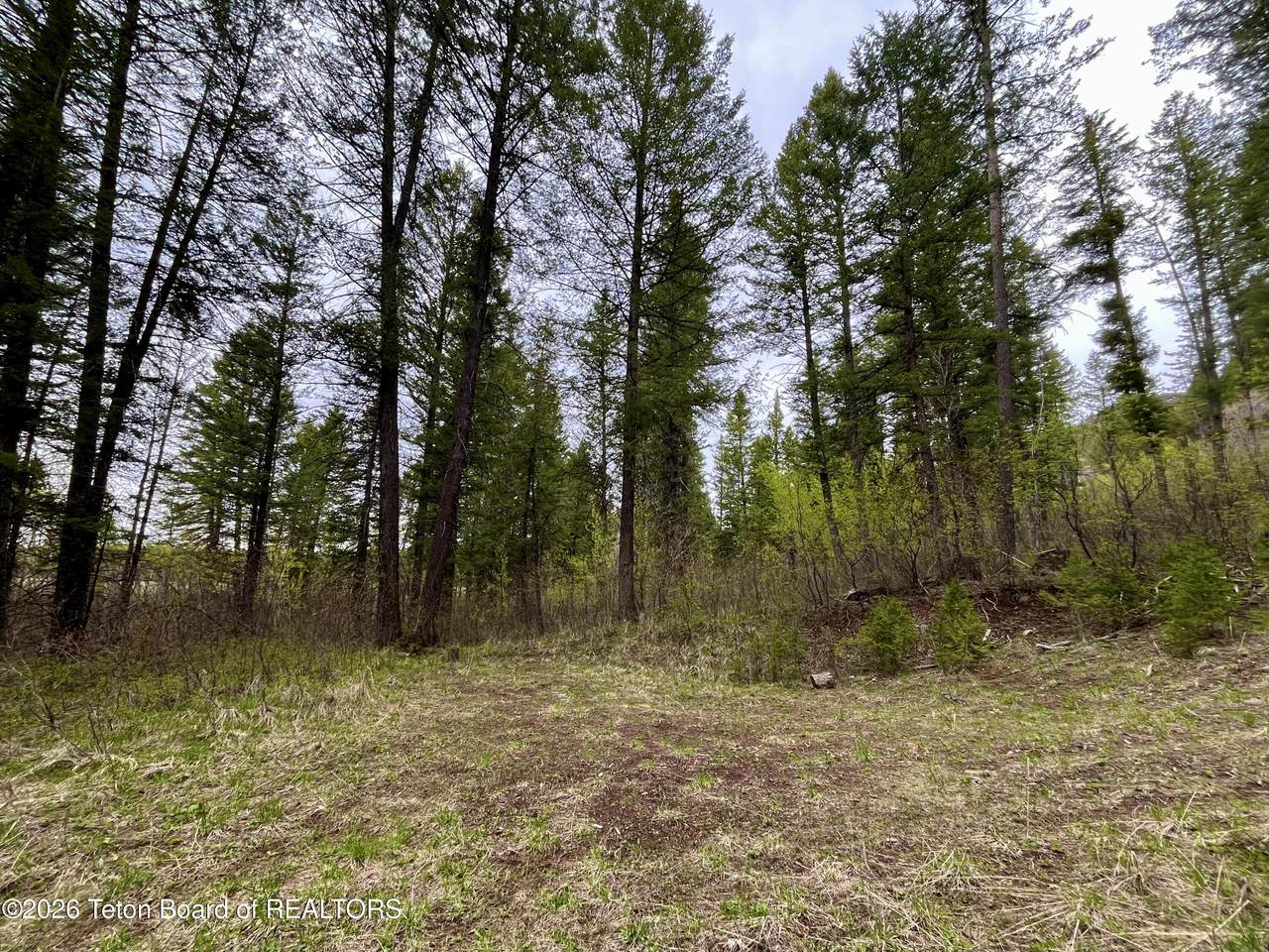 https://bt-photos.global.ssl.fastly.net/teton/1280_boomver_1_26-712-2.jpg