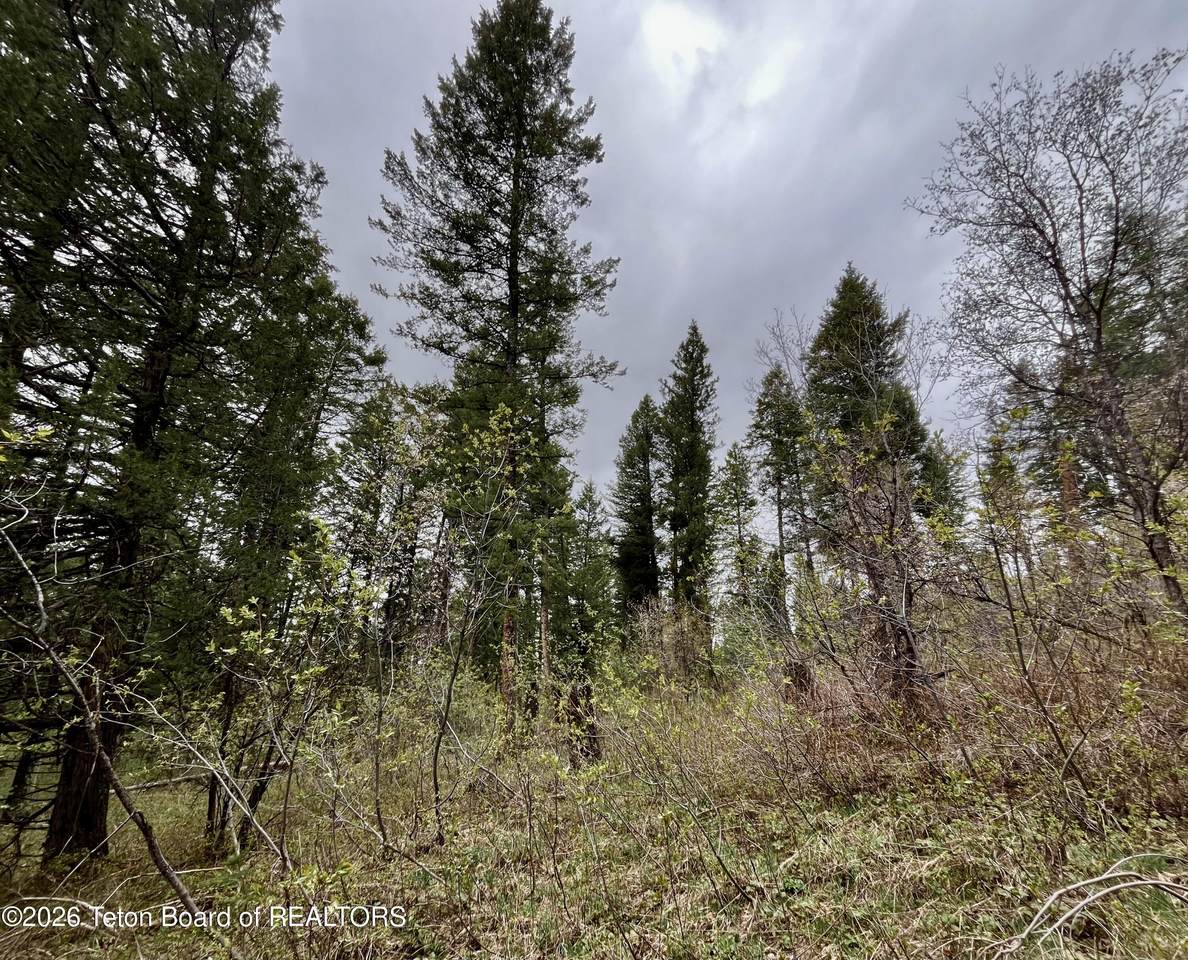 https://bt-photos.global.ssl.fastly.net/teton/1280_boomver_1_26-712-2.jpg