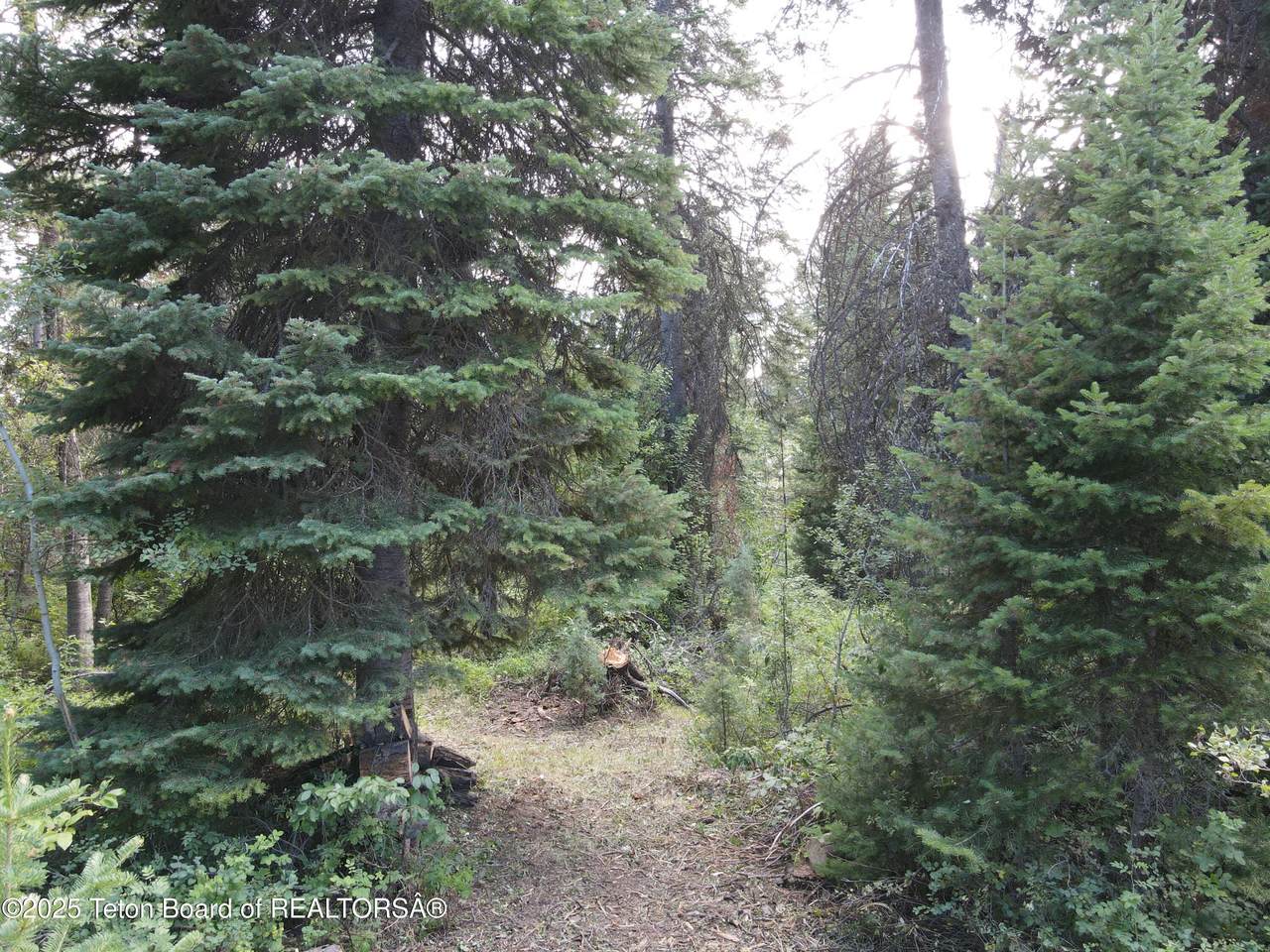 https://bt-photos.global.ssl.fastly.net/teton/1280_boomver_1_26-805-2.jpg