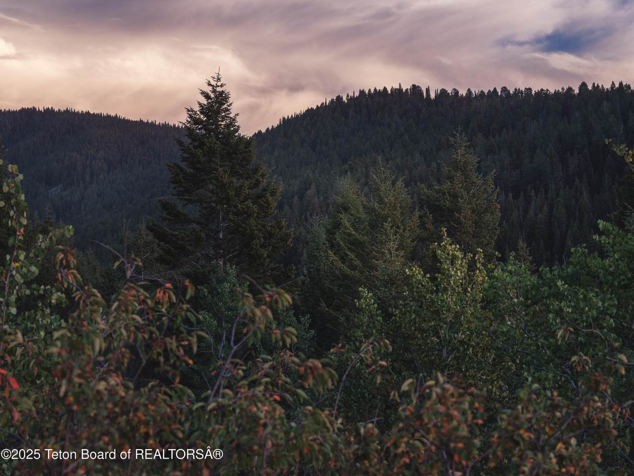 https://bt-photos.global.ssl.fastly.net/teton/1280_boomver_1_26-921-2.jpg