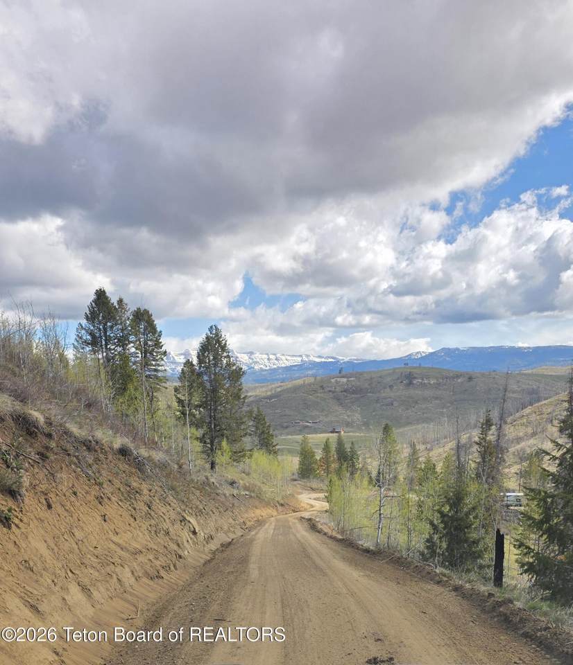 TBD Upper Picnic Ridge Road - Photo 1
