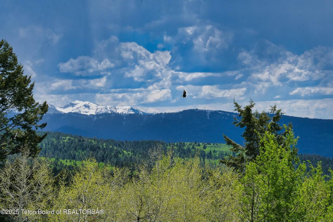 https://bt-photos.global.ssl.fastly.net/teton/1280_boomver_1_26-949-2.jpg