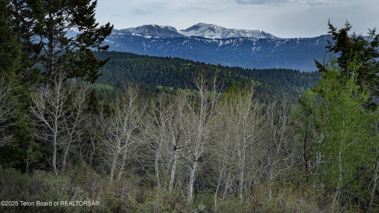 https://bt-photos.global.ssl.fastly.net/teton/1280_boomver_1_26-950-2.jpg