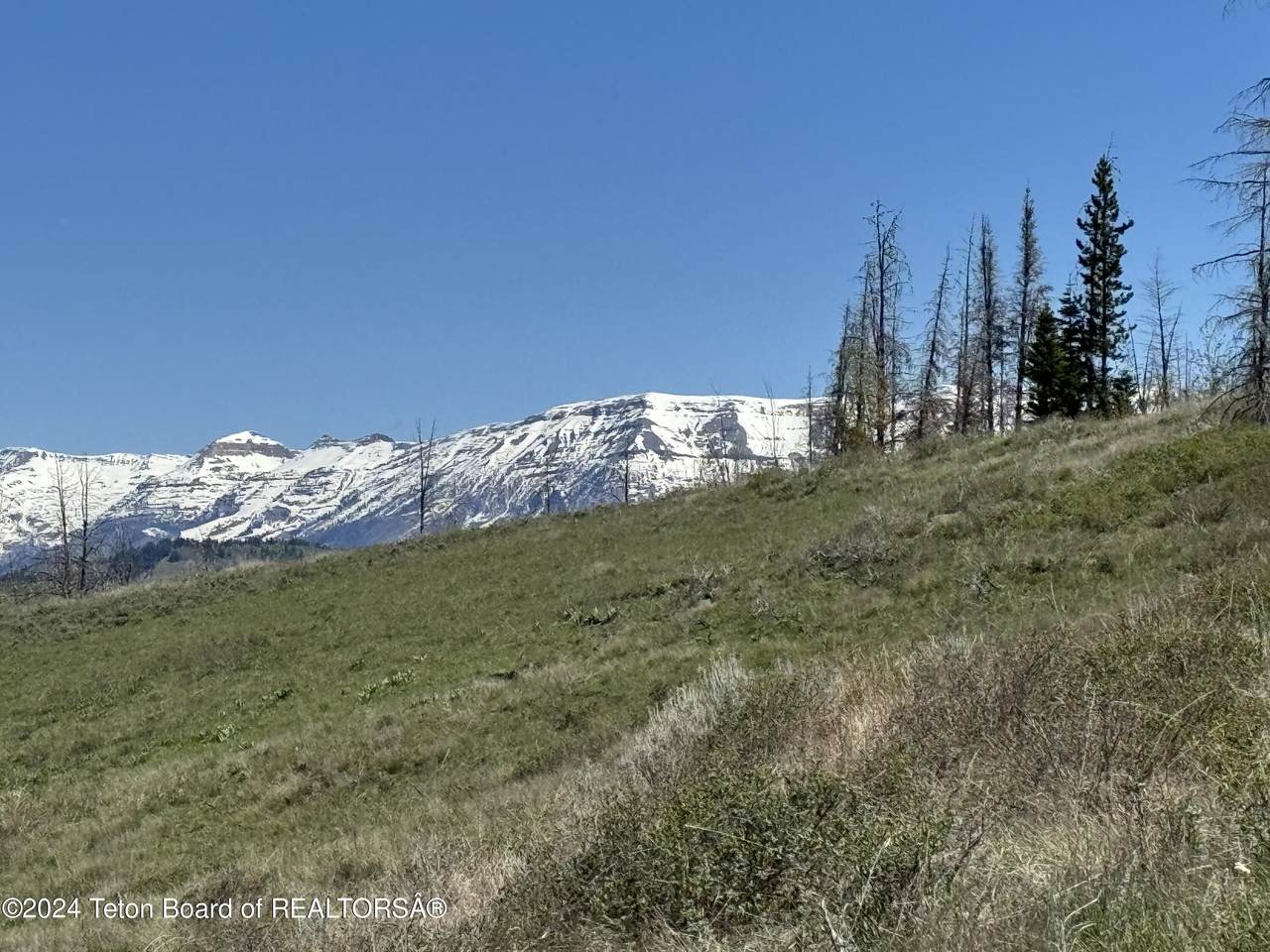  Tbd Mountain View Drive - Photo 1