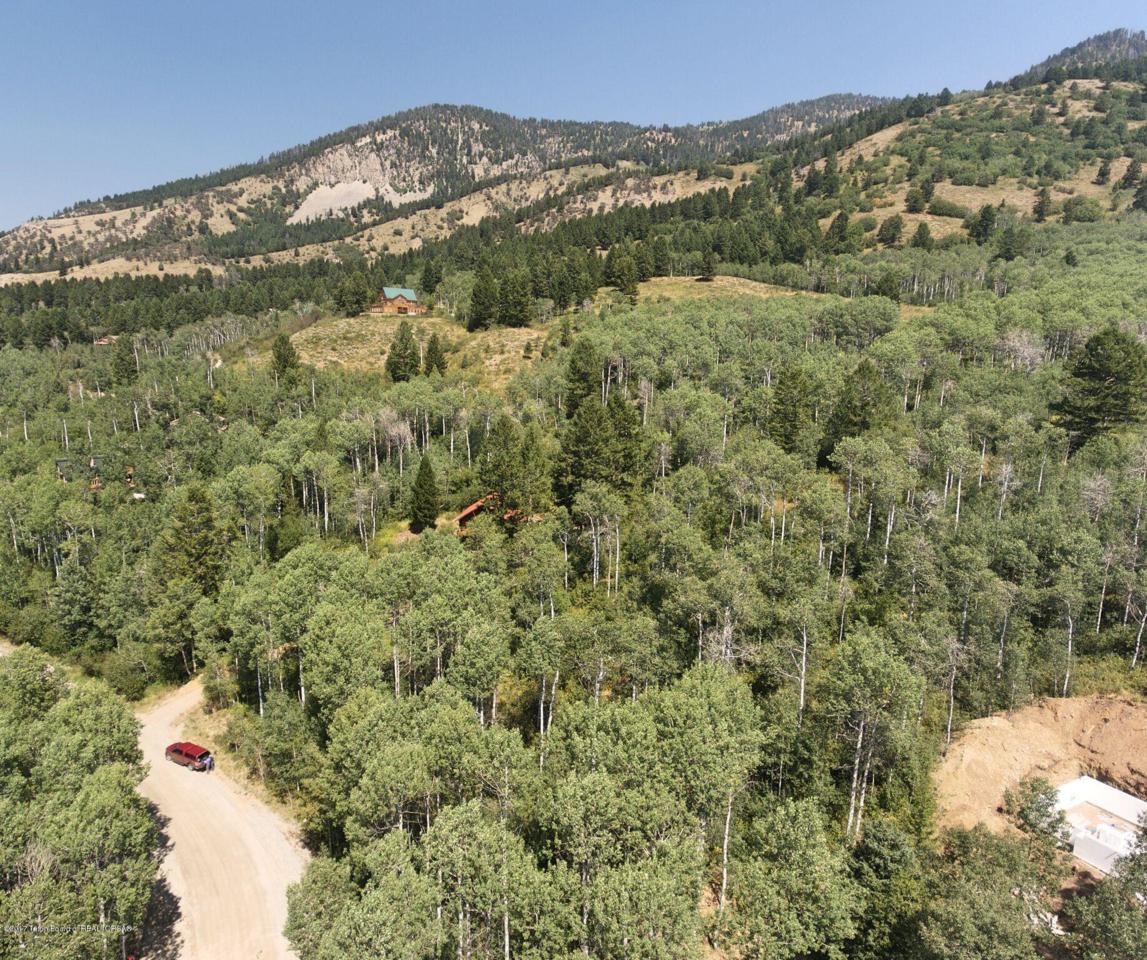 LOT 9 Snow Forest Dr. - Photo 1
