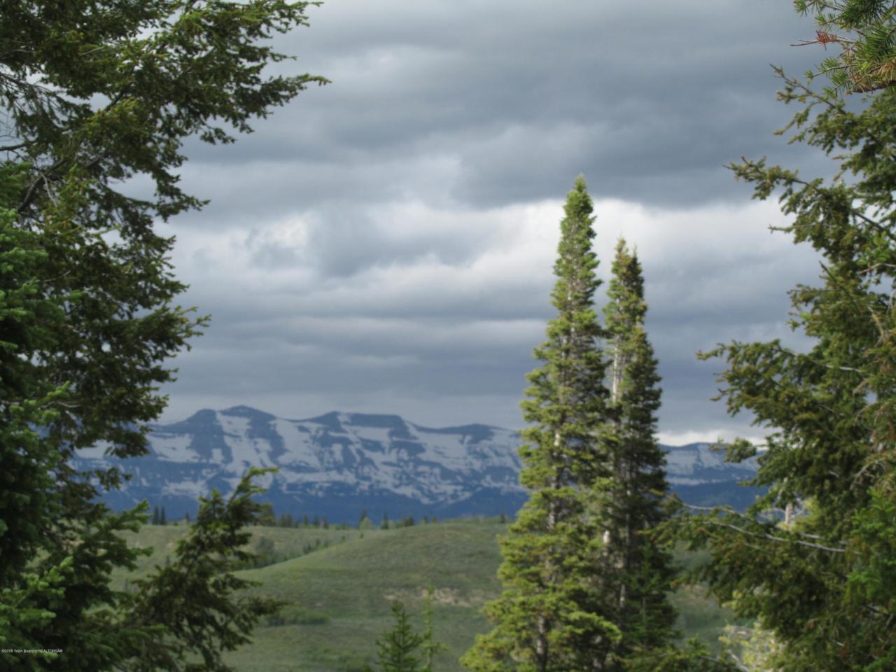 TRACT 16 Crazy Moose Road - Photo 1