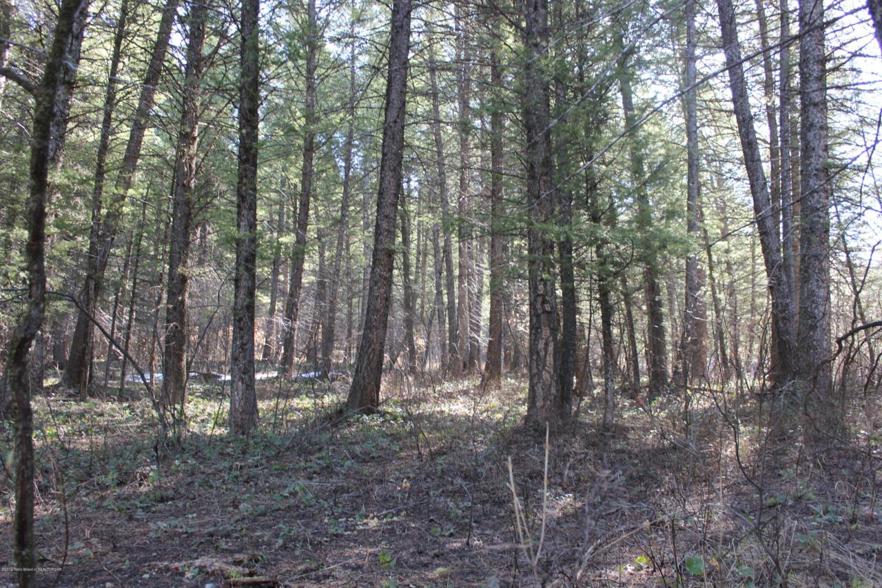 19 Fir Place - Photo 1
