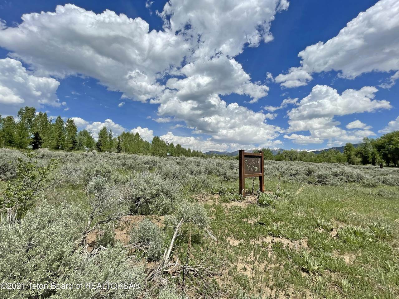 1404 Telemark Trail - Photo 1