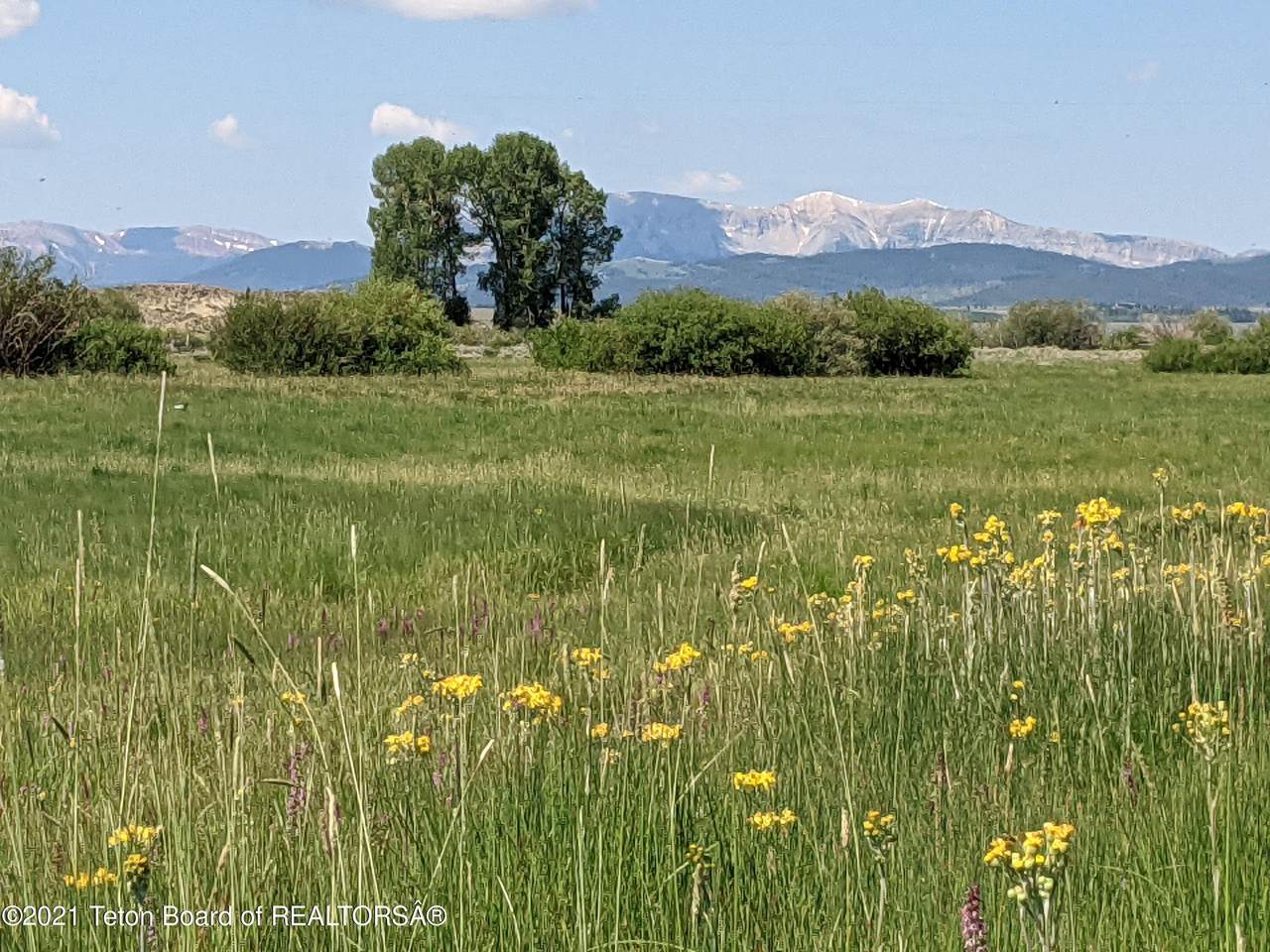 Cottonwood-Merna 23-116 - Photo 1