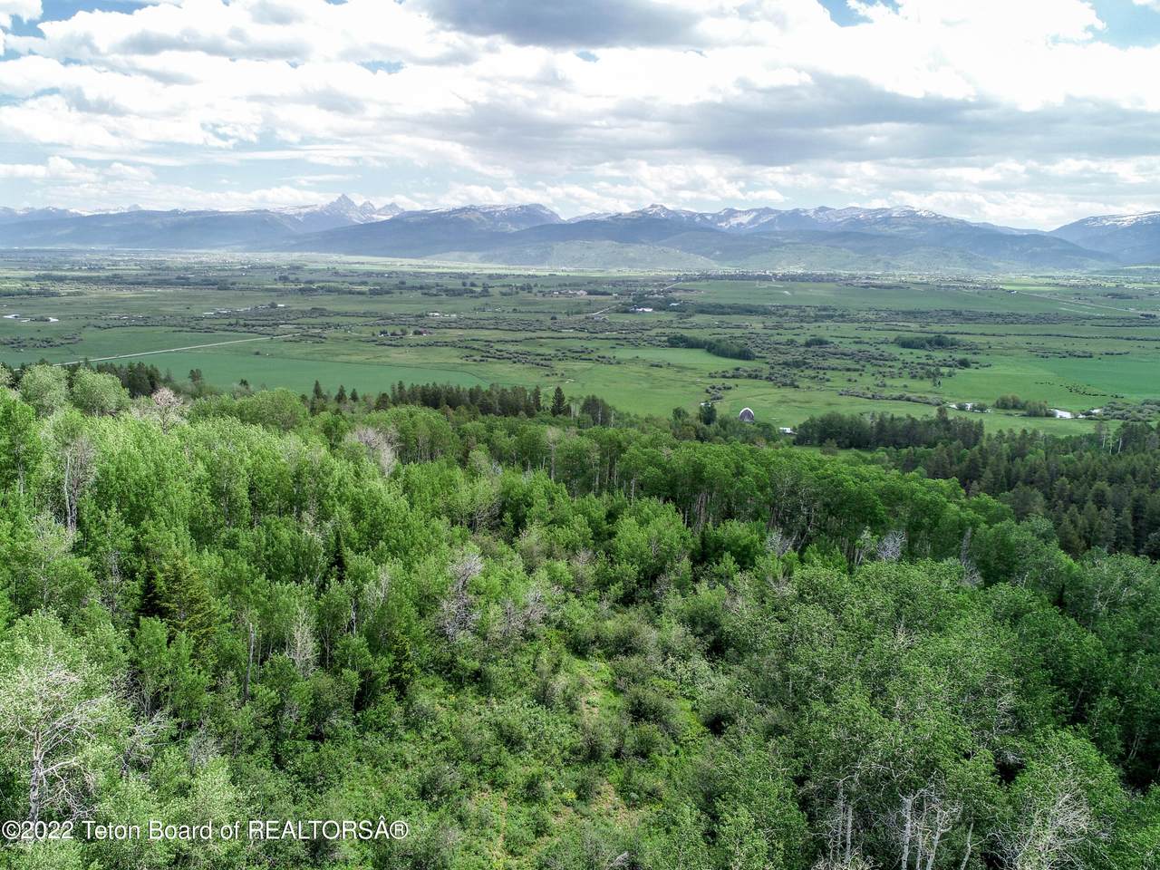 TBD Grove Creek Rd - Photo 1
