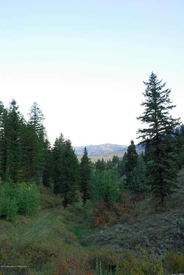 L33B1 Cutthroat Run - Photo 1