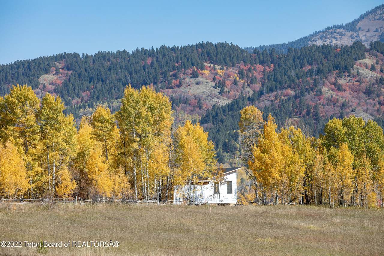 134 Alpine Meadow Loop - Photo 1