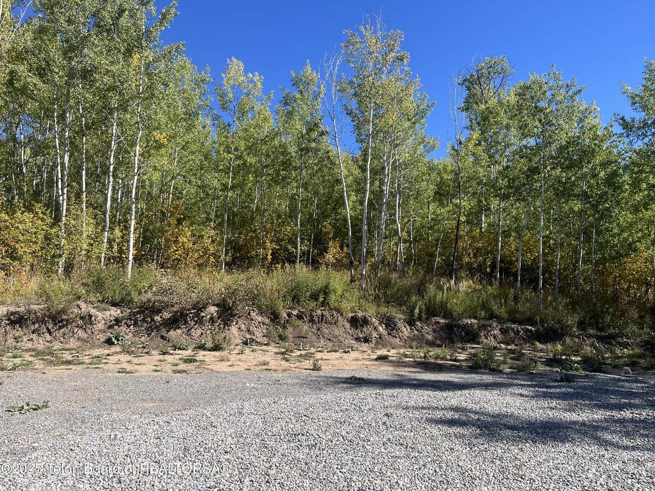 https://bt-photos.global.ssl.fastly.net/teton/1280_boomver_2_24-206-2.jpg
