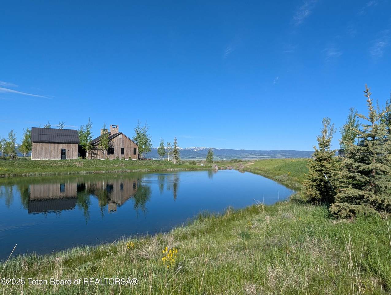 1135 Shasta Daisy Court - Photo 1