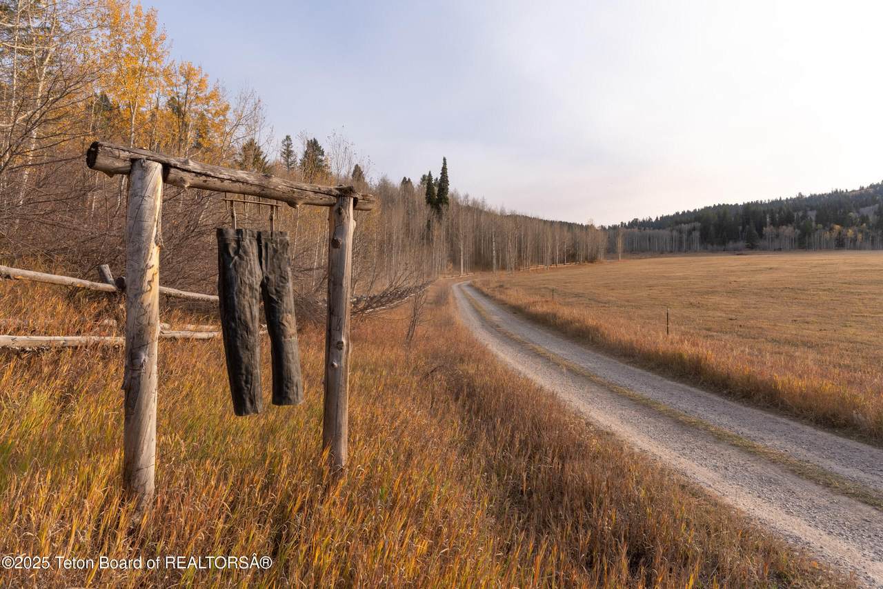 14925 Mckoy Road - Photo 1