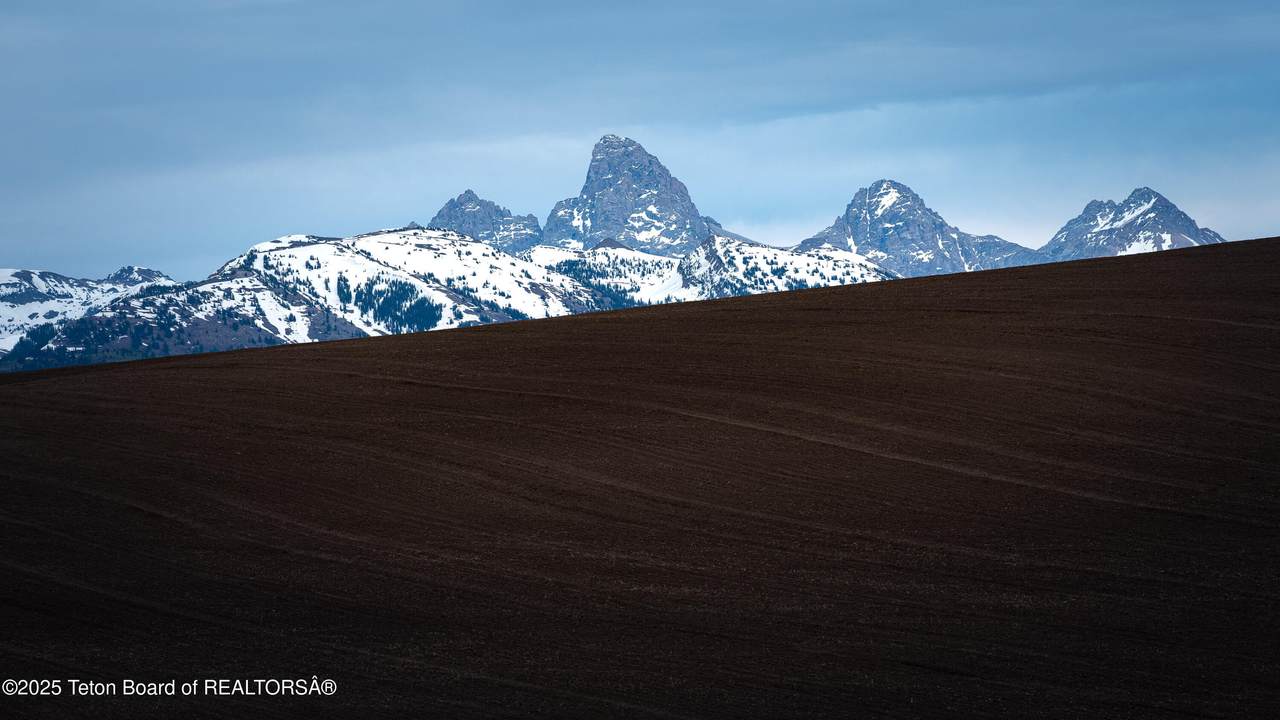 2255 Moose Path Way - Photo 1