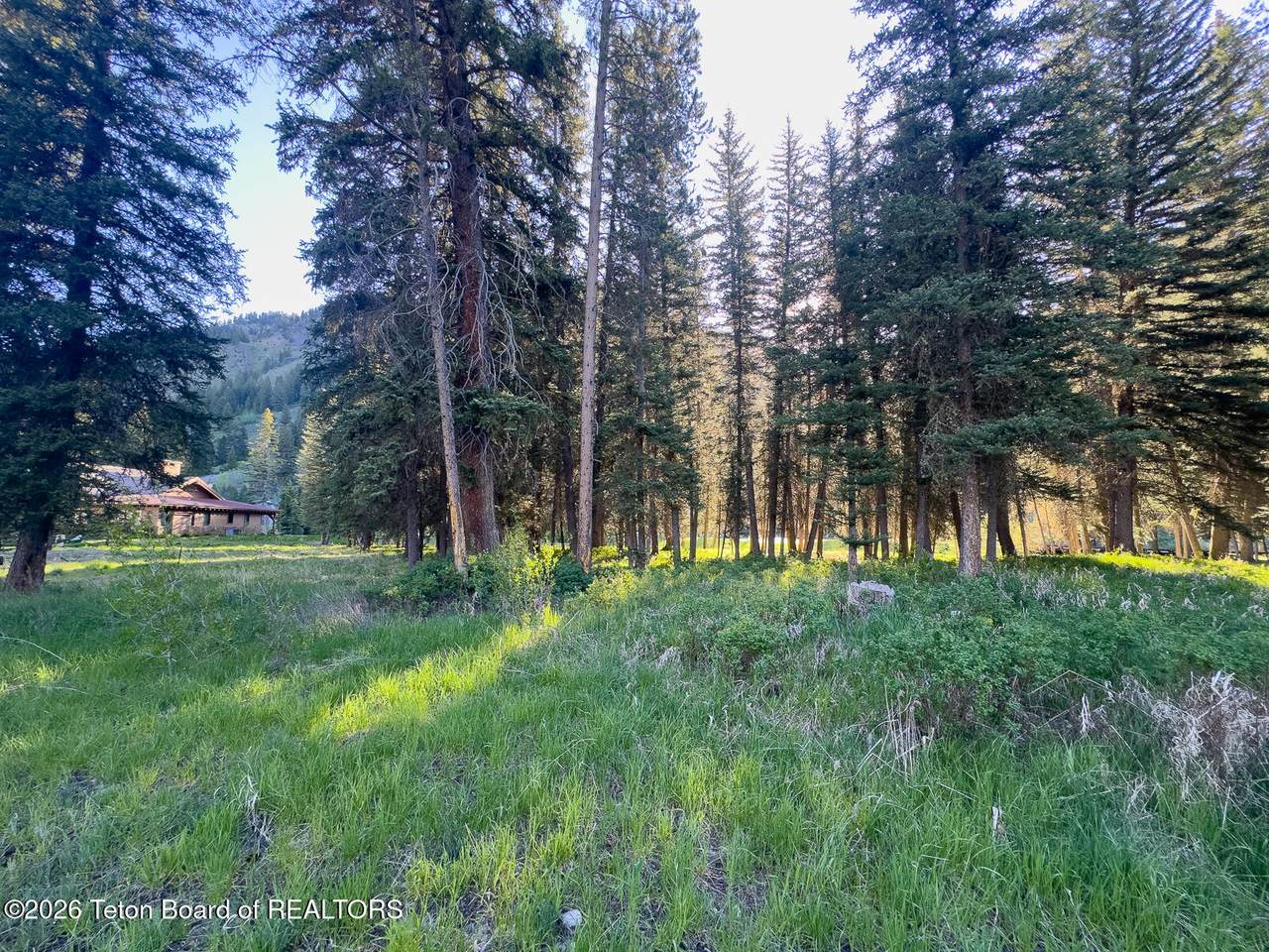 15635 Wagon Road - Photo 1