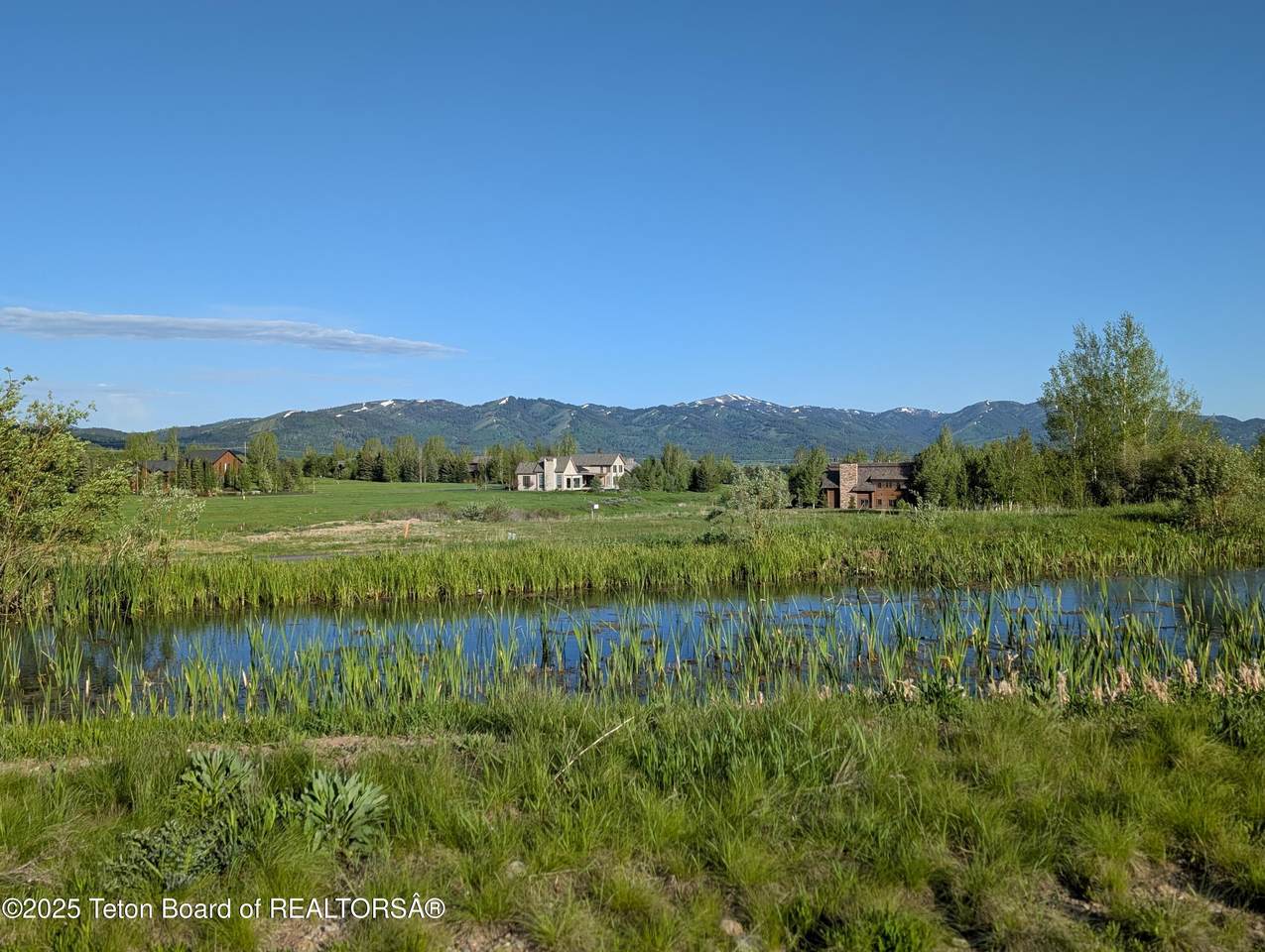 10 Riparian Drive - Photo 1