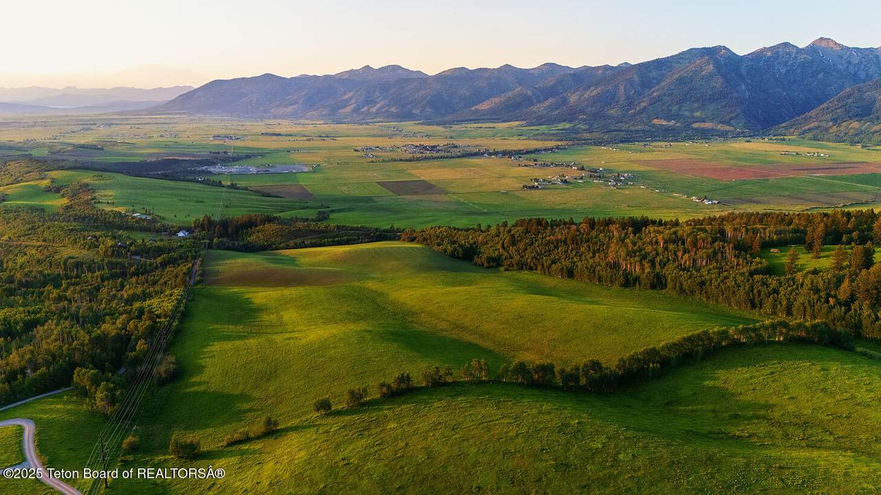 40 ACRES Robinson Lane - Photo 1