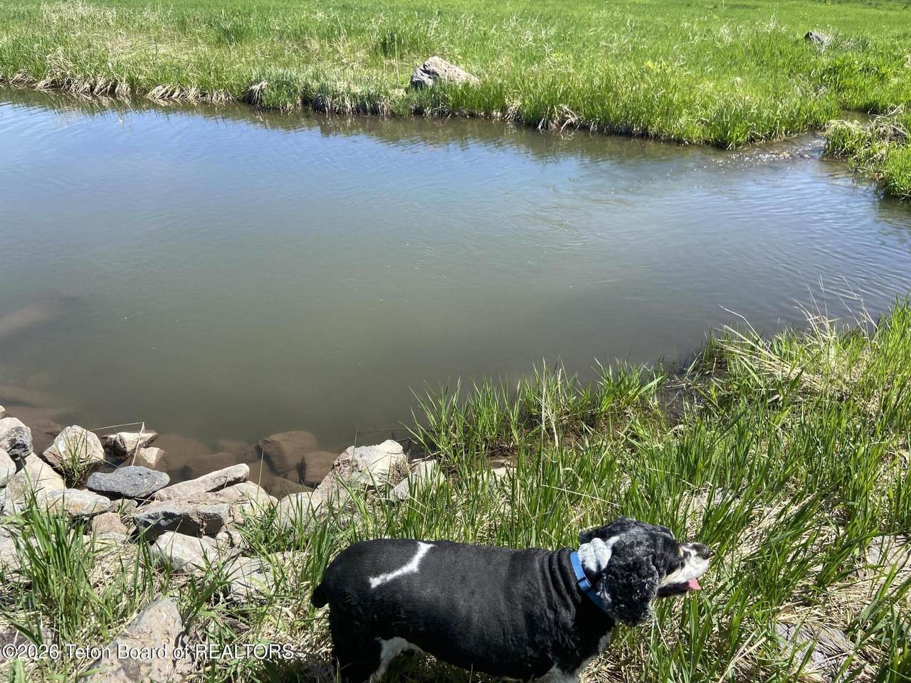 https://bt-photos.global.ssl.fastly.net/teton/1280_boomver_2_26-177-2.jpg