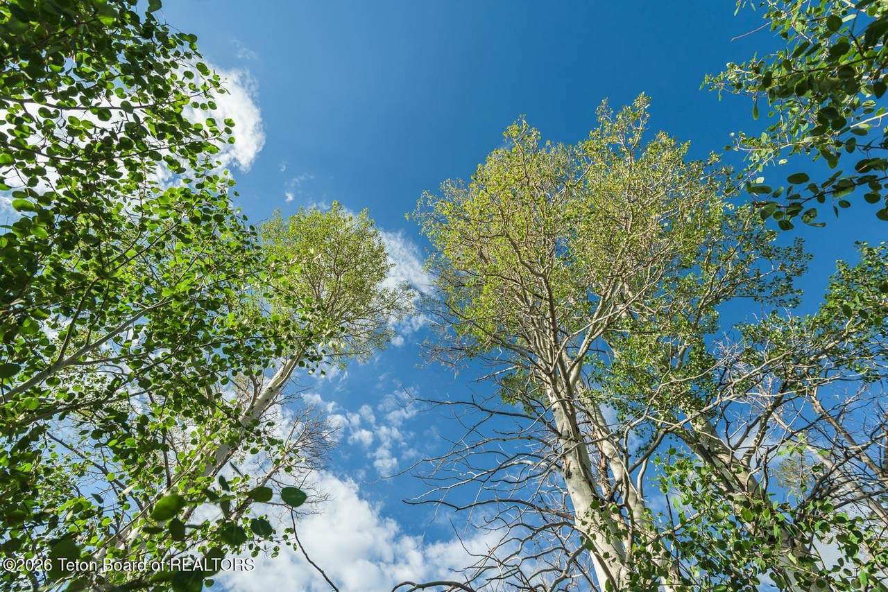 https://bt-photos.global.ssl.fastly.net/teton/1280_boomver_2_26-767-2.jpg