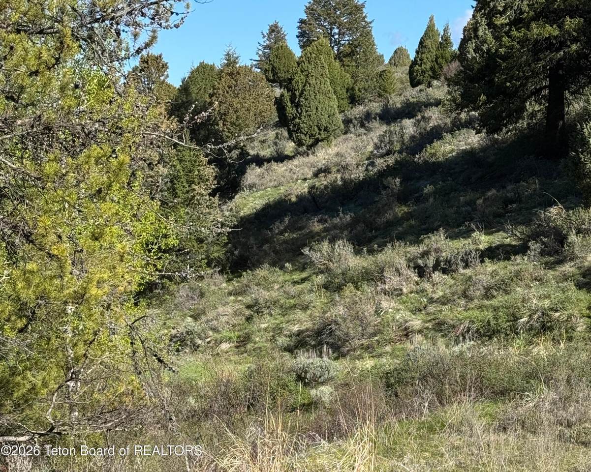 59 B4 Cutthroat Run - Photo 1