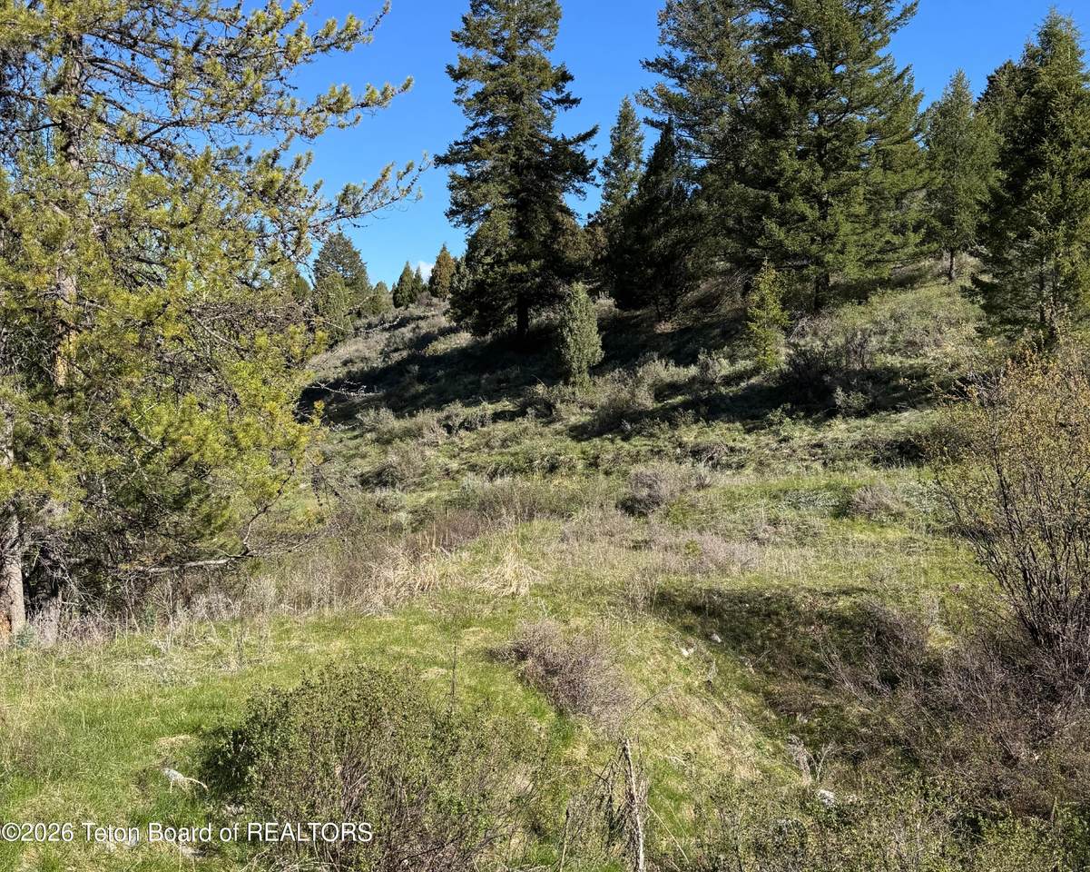 https://bt-photos.global.ssl.fastly.net/teton/1280_boomver_2_26-798-2.jpg