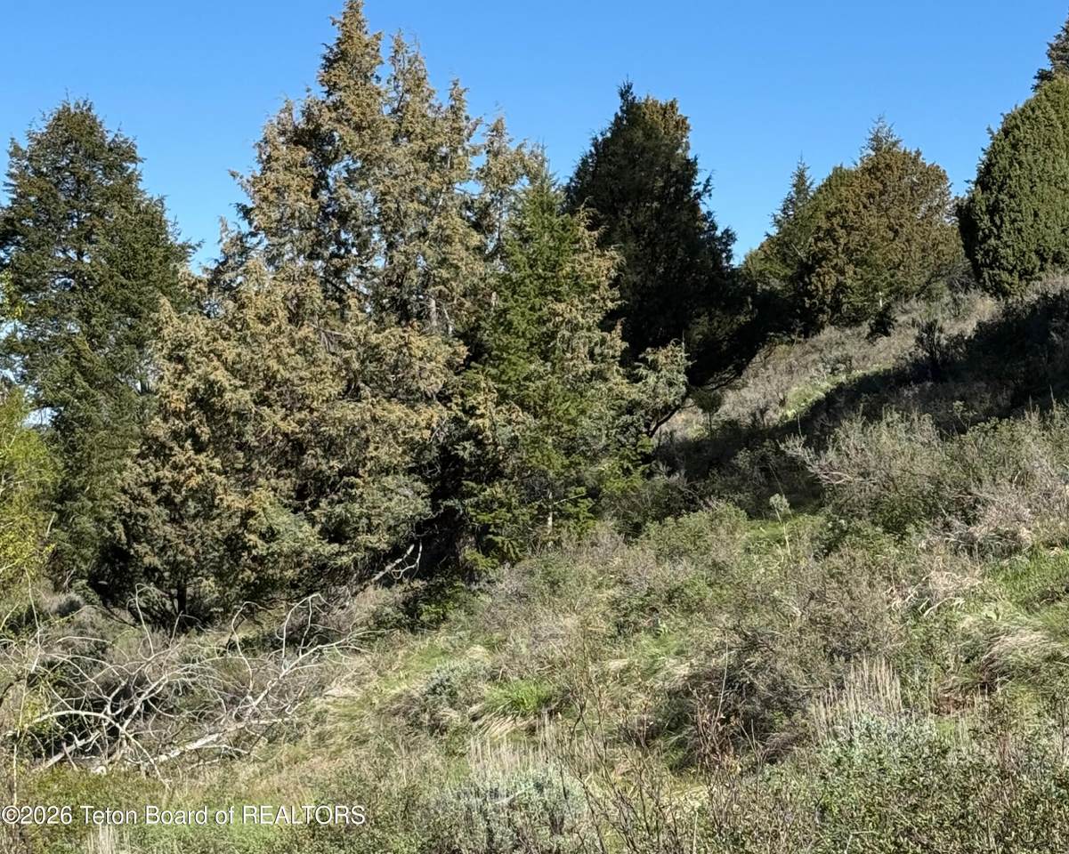 https://bt-photos.global.ssl.fastly.net/teton/1280_boomver_2_26-798-2.jpg