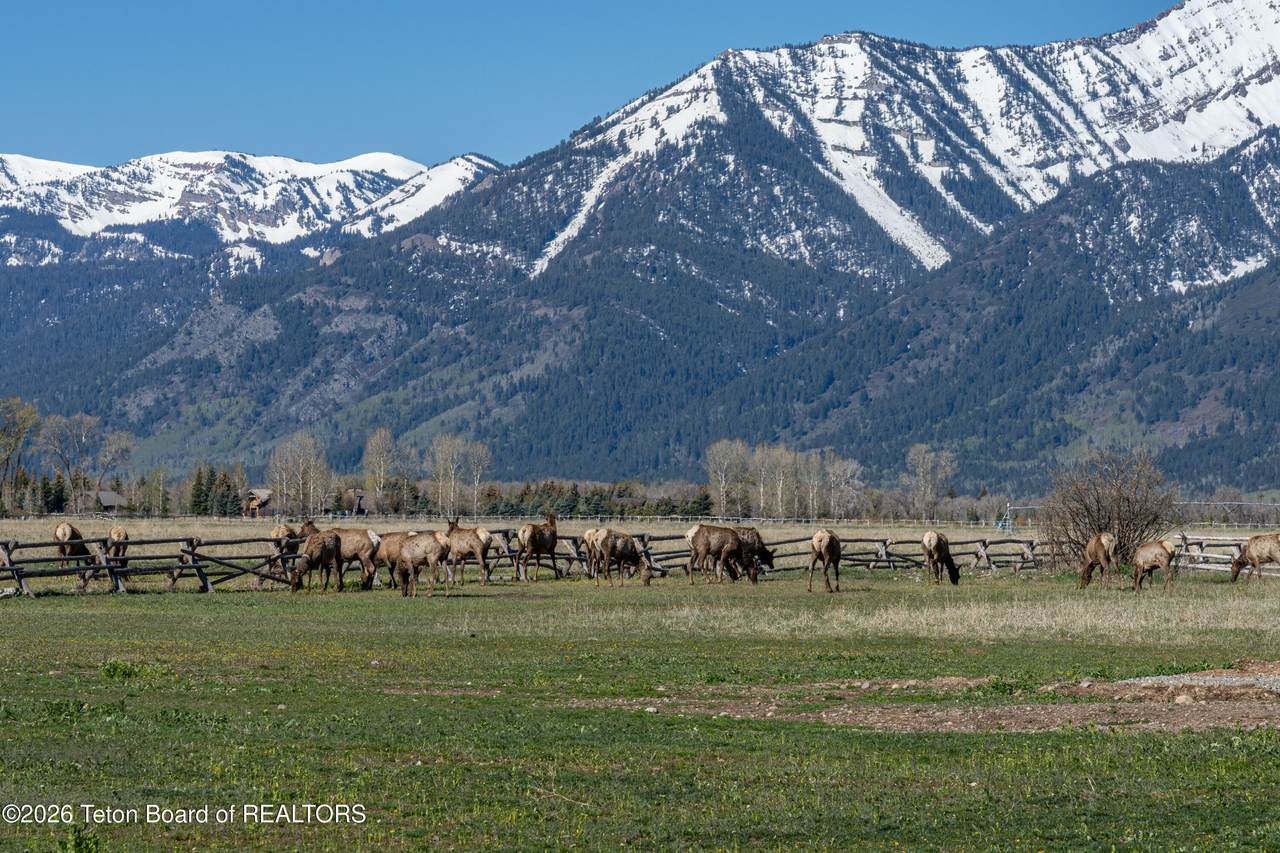 https://bt-photos.global.ssl.fastly.net/teton/1280_boomver_2_26-864-2.jpg