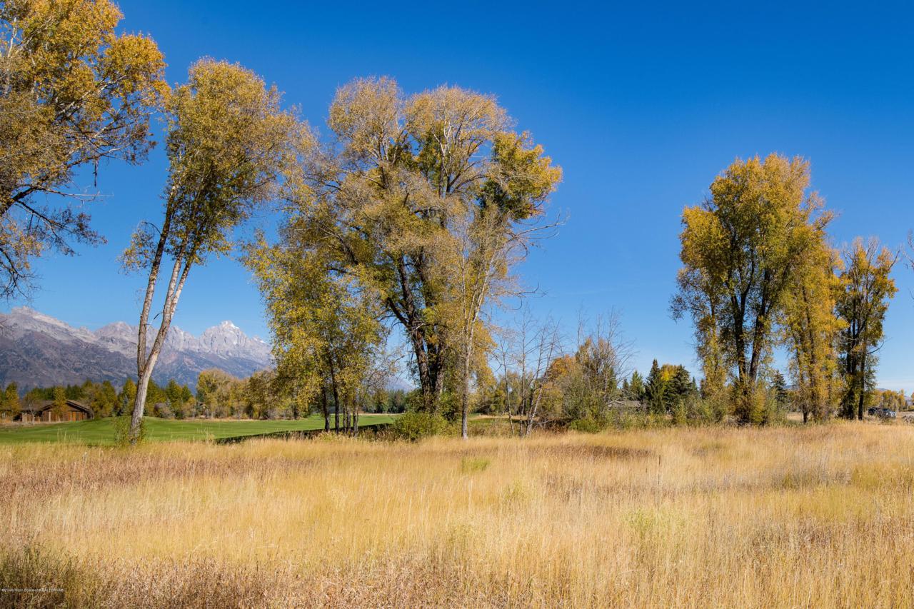 6035 Spring Gulch Rd - Photo 1