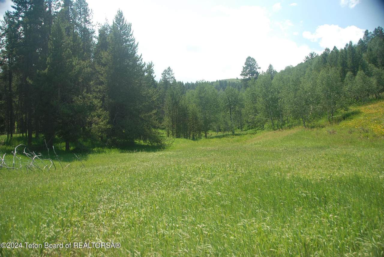 https://bt-photos.global.ssl.fastly.net/teton/1280_boomver_3_24-1010-2.jpg