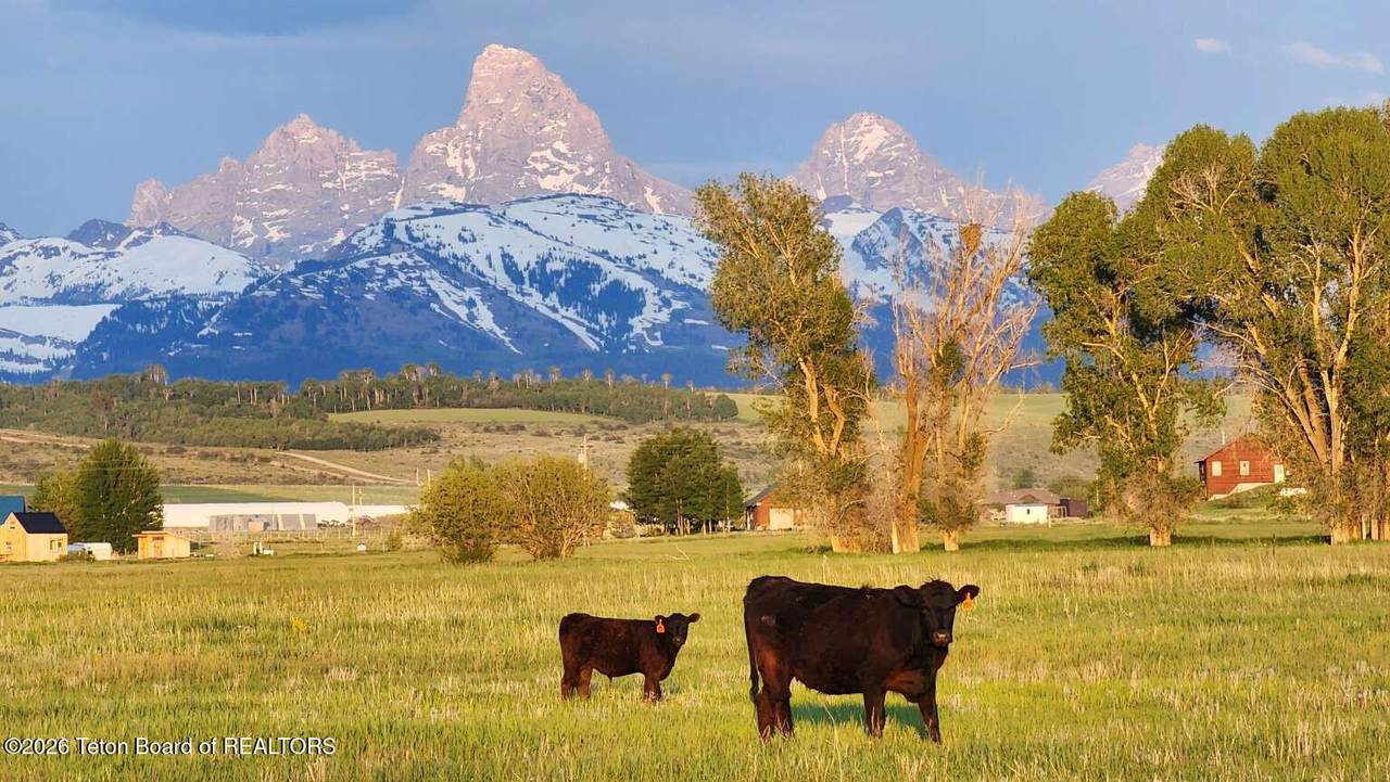 https://bt-photos.global.ssl.fastly.net/teton/1280_boomver_3_26-1019-2.jpg
