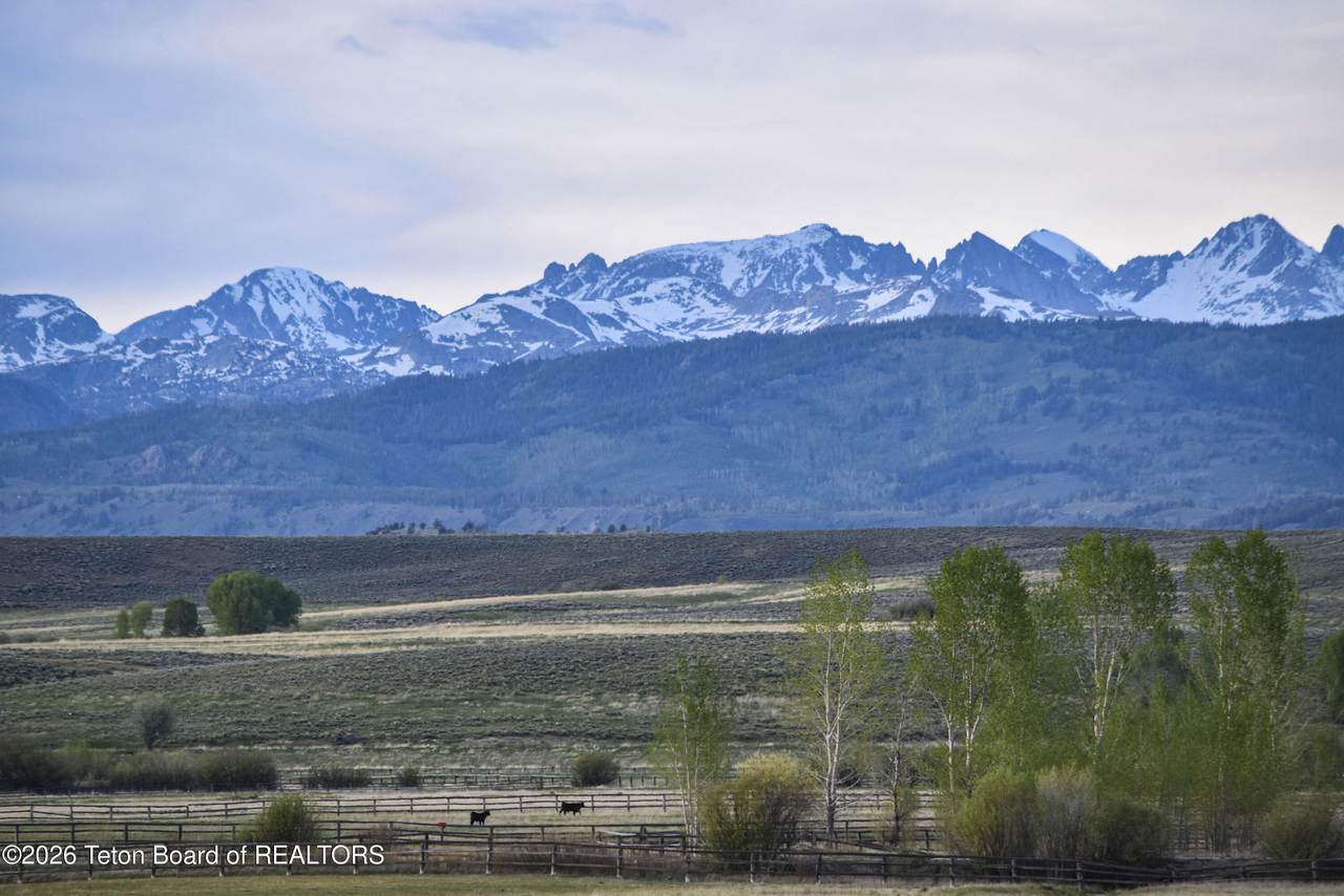 TBD Lot 41, Muleshoe Road - Photo 1