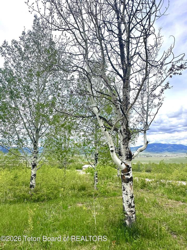 https://bt-photos.global.ssl.fastly.net/teton/1280_boomver_3_26-977-2.jpg