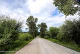 227 Mcneel Power Plant Road - Photo 48