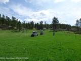 140 Cow Camp Road - Photo 100