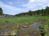 140 Cow Camp Road - Photo 102