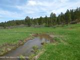 140 Cow Camp Road - Photo 104