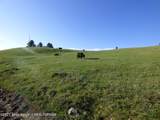 140 Cow Camp Road - Photo 44