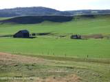 140 Cow Camp Road - Photo 45