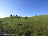 140 Cow Camp Road - Photo 49