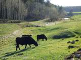 140 Cow Camp Road - Photo 50
