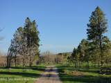140 Cow Camp Road - Photo 61