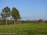 140 Cow Camp Road - Photo 66