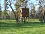 140 Cow Camp Road - Photo 70